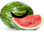 THE WATERMELON BROS