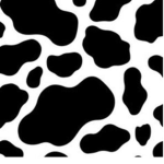 Cow Alliterations