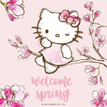 The Hello-kitty group