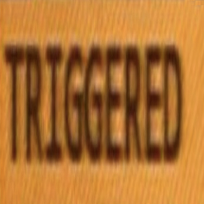 TRIGGERED SIGN Roblox decal