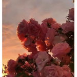 Flower_child