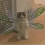 iiangelic's Angels <3