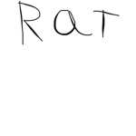 Rat’s hospital