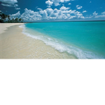 #ocean group