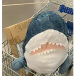 chomp 씹다