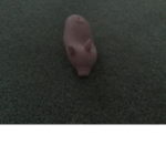 Pinkie fan club pig