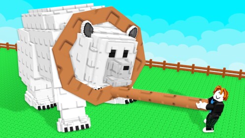 Lasso Animals🤠