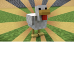 CHICKENS ROCK
