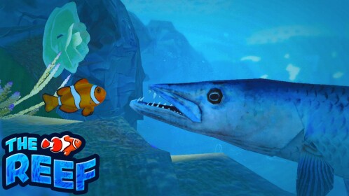 🐬THE REEF🦈 - Shark, Fish, Dolphin 