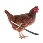 Chicken Yoru