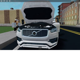 The Robloxian City/Neighbour hood