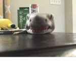 Mr shark
