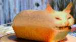 bread for everyone.
