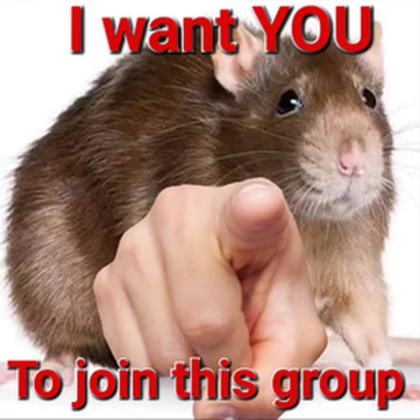 Group Icon