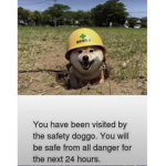 Da Ducks EPIC