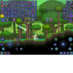 Pokémon group :D