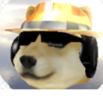 Doges are the best world