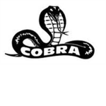 cape cobra