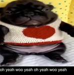 beabadoobe