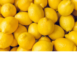 LEMON OFFICE