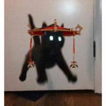 MiguelKistune