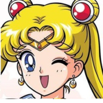 sailor moon clothing xoxo