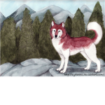 Wolf/Dog Roleplay