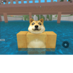 Doge club/army