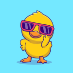 Ducky group gang