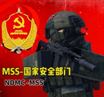 MSS-国安
