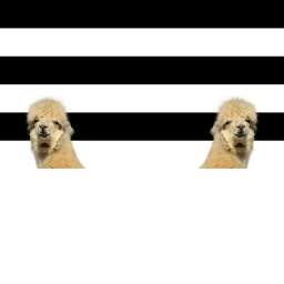Communist Llama Crusade Prison