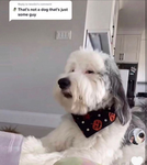 that one mom