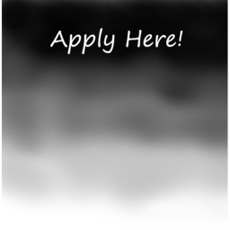 Apply To Be A Shadow Police Officer Or Soldier