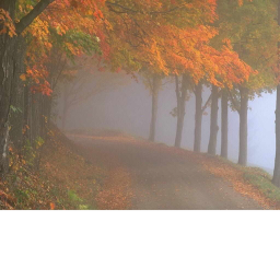 The Natural