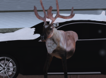 KGVRP (Kings Greenville Roleplay)