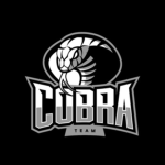 코브라 부대ㅣCobra army