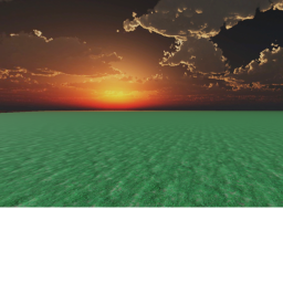 a calm field