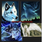 XxMysticalSkyzXx0 YT