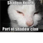 >shadow clan<