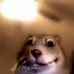 .-. mine group.