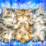 KITTENS FOREVER! (And cats)