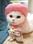 . Cat vibees .