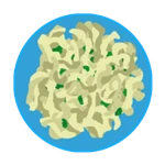 alfredo