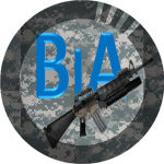 Brothers in Arms Incorporated