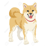 Shiba Inu Fangroup