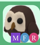 My adopt me owls