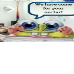 survive spongebob