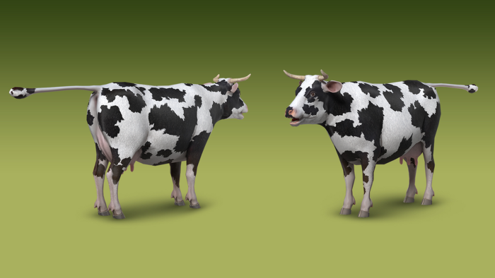Low Poly Cow 3D Model Animated preview 3