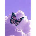 ~Butterfly_Sanctuary~