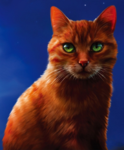 Warrior Cats : New Beginning Fanbase